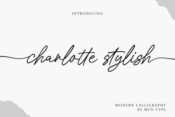 Charlotte Stylish: The Modern Typeface That Elevates Campaign Visuals