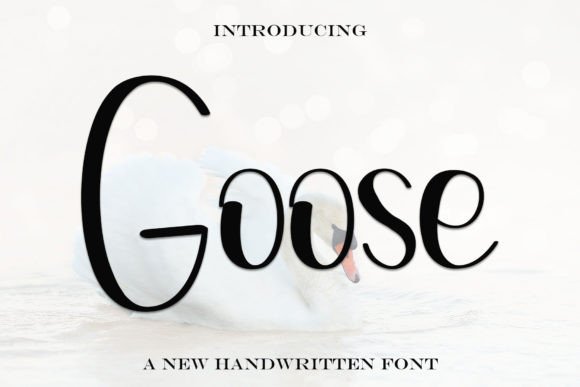 Goose: A Script Amp Review for Real-World Design