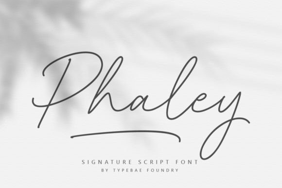 Phaley: The Perfect Script Font for Elegant Brand Identity
